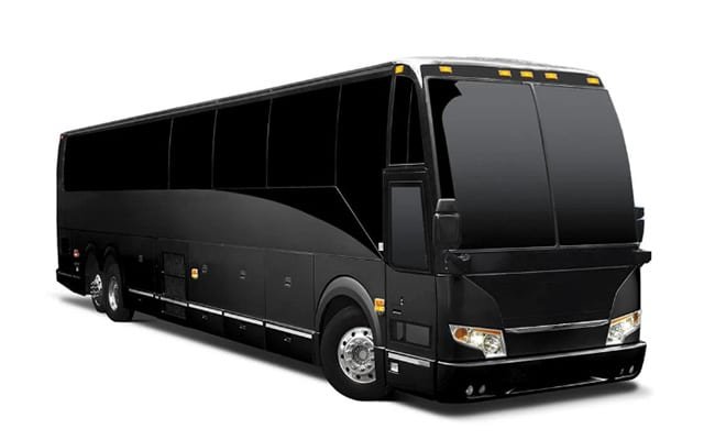 Full-Size Party Bus